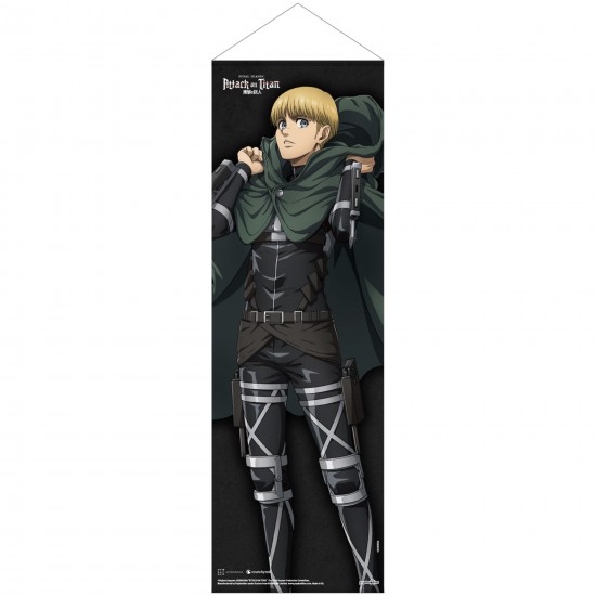 Attack on Titan Final Season Slim Fabric Wall Scroll: Armin Arlelt 30cm x 90cm